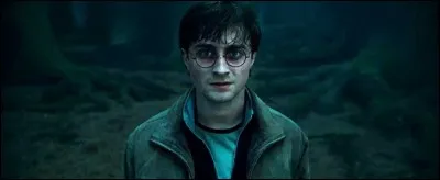 Il y a combien d'Horcruxes ?