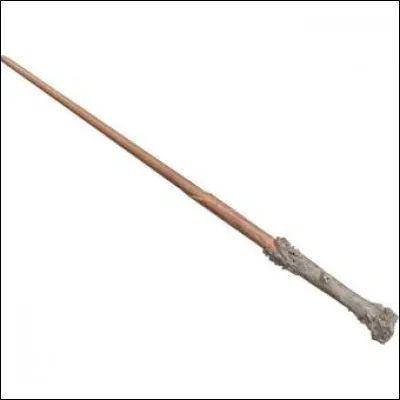 Quelle est la constitution de la première baguette de Harry Potter ?