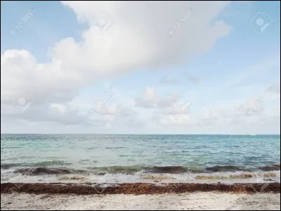 La lithothérapie est l'étude des océans.