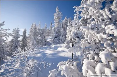 Le mois de juillet, c'est la saison d'hiver qui s'installe.