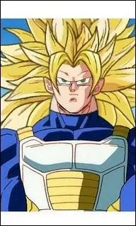 Quel niveau Sangohan possde-t-il ?