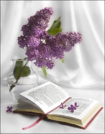 À qui doit-on "Un amour de Swann" ?