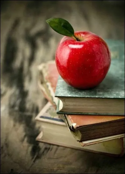 Qui a écrit "Bel-Ami" ?