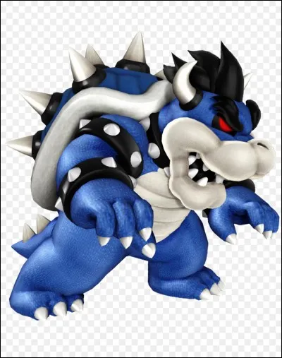 Dans quel jeu Bowser noir appara&icirc;t-il ?