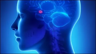 Une méningite doit être traitée d'urgence.