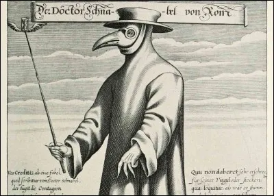 La peste bubonique peut être causée par les rats.