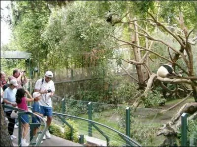 Dans quelle ville y a-t-il un zoo tellement grand qu'il faut plusieurs jours pour le visiter ?