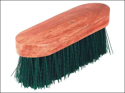 Quelle est cette brosse ?