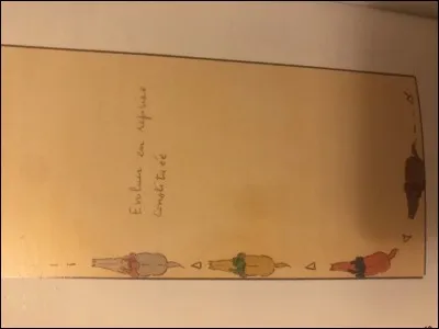 Ces chevaux sont à quelle main ?