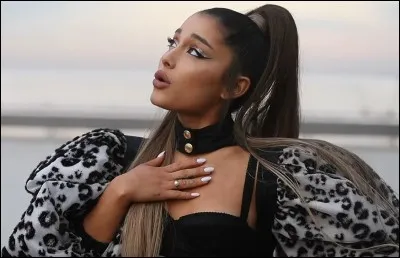 Qui est cette chanteuse ?