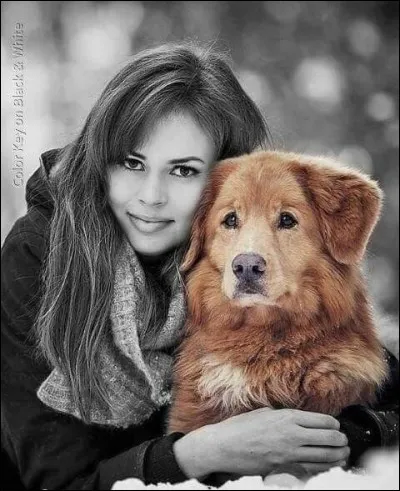 Qui chantait "Madame promène son chien..." ?