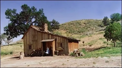 Quelle famille NE fait PAS partie de la série américaine "La Petite Maison dans la prairie" ?