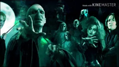 Qui a lanc&eacute; le sortil&egrave;ge faisant appara&icirc;tre la marque des t&eacute;n&egrave;bres lors de la Coupe du monde de quiddich ?