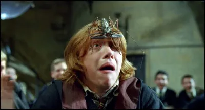 Au début de leur scolarité, les apprentis sorciers choisissent un animal de compagnie. Quel est celui de Ron Weasley?
