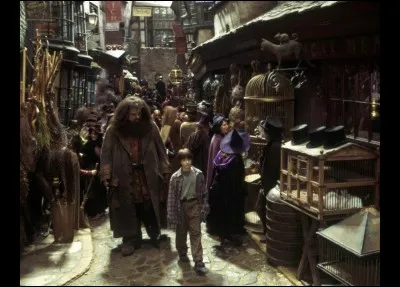 Comment accède-t-on au chemin de Traverse, la rue commerçante où les élèves de Poudlard font leurs achats ?