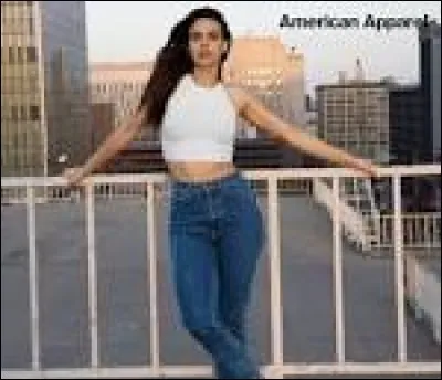 D'ou vient la marque de vêtements "American Apparel" ?
