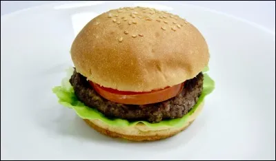 Quel est le pays d'origine du hamburger ?