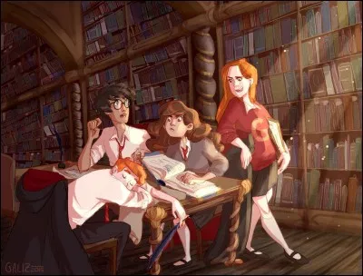 Et enfin si tu craquais pour un personnage de la saga, ce serait :