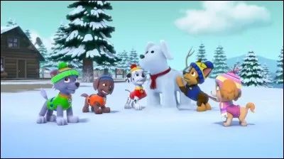 Le verbe "neiger" ne peut se conjuguer qu'à une seule personne. Laquelle ?