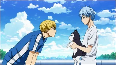 Quel est le nom complet du chien de Kuroko ?