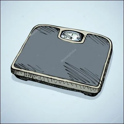 Combien p&egrave;se-t-il ?