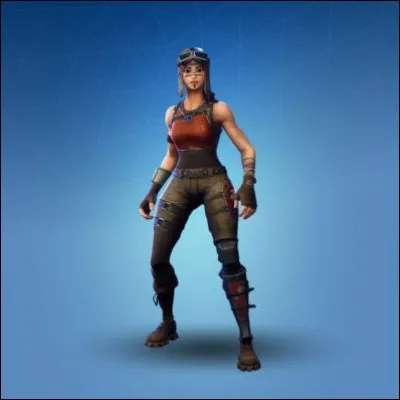 Quel est le skin le plus rare du jeu ?