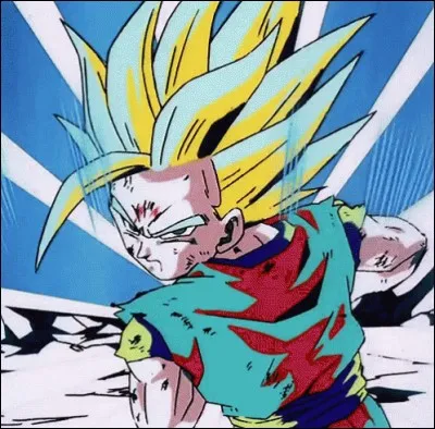 Lors du Cell Game, combien de fois Gohan fait-il de Kamehameha ?