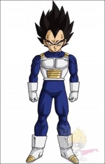 Que dit V&eacute;g&eacute;ta apr&egrave;s que Gohan ait tu&eacute; Cell ?