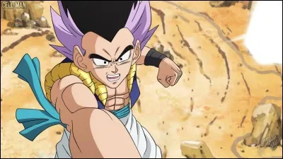 Quel est le nom de Goten et Trunks fusionn&eacute;s ?
