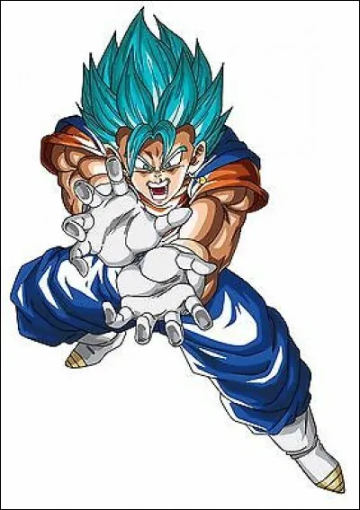 Quel est le nom de Goku est V&eacute;g&eacute;ta fusionn&eacute;s par les Potalas ?