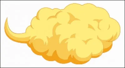 Quel objet Muten Roshi donne-t-il &agrave; Goku pour avoir secouru la tortue ?