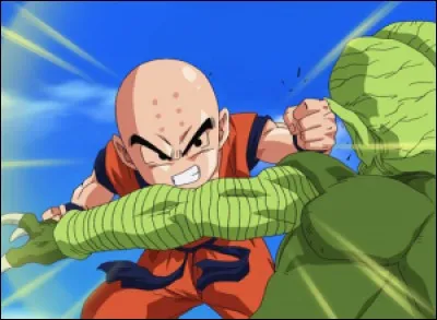 Combien Krillin tue-t-il de Saibaimen?