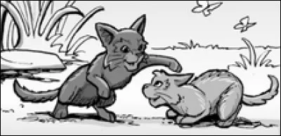 Qui sont les enfants de Plume Grise et Rivi&egrave;re d'Argent ?