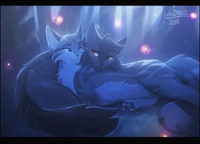 Dans le Clan du Tonnerre quelqu'un a des aventures avec une jolie chatte pommel&eacute;e gris argent, qui est-ce ?