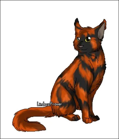 Un grand myst&egrave;re arrive au sein du Clan du Tonnerre. Plume Rousse est mort et une version des faits est expliqu&eacute;e, mais un apprenti, Nuage de Jais, lui, sait que son mentor ment &agrave; toute la tribu et d&eacute;cide de dire sa version &agrave; ses deux meilleurs amis. Ils n'en croient pas leurs oreilles et d&eacute;cident de mener l'enqu&ecirc;te. Ils r&eacute;ussissent &agrave; trouver la vraie r&eacute;ponse. Que trouvent-ils ?