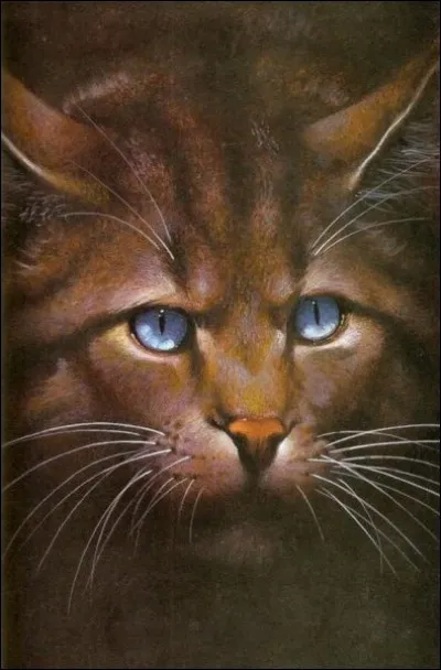 Lors de l'attaque des chiens (dans le cycle 1 n&deg;5) C�ur de Feu et les autres trouvent le corps de Plume Blanche. Elle a &eacute;t&eacute; tu&eacute;e par &Eacute;toile du Tigre (Griffe de Tigre). Pourquoi ?