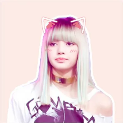 Comment le chat de Lisa s'appelle-t-il ?