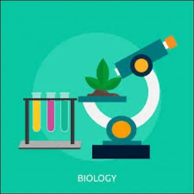 Le potentiel d'action dans les fibres musculaires provoque la libération de ...du réticulum endoplasmique ?