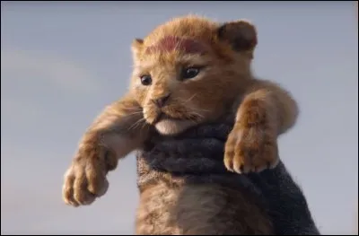 Cinéma - Qui fera la voix française de Simba dans le "Roi lion" ?