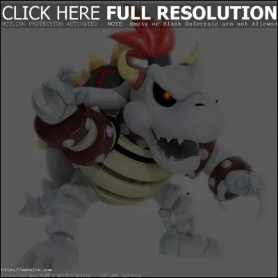 Dans quel jeu Bowser Skelet est-il apparu pour la première fois ?