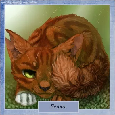 Quelle est cette chatte ?