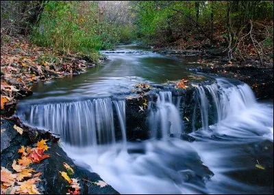 Aimez-vous cette photo ?