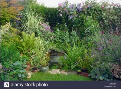 Aimez-vous cette photo ?