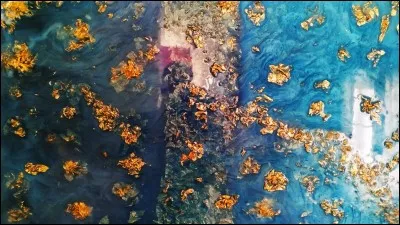 Pour qui le paradis est-il blanc ?