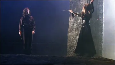 Quel est le lien de parenté entre Sirius Black et Bellatrix Lestrange ?