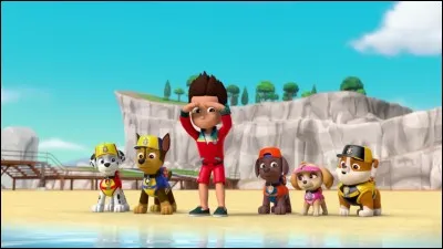 Question bonus - De quel pays sont originaires les pizzas et les spaghetti ?