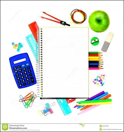 Pour un devoir en groupe, que faites-vous ?