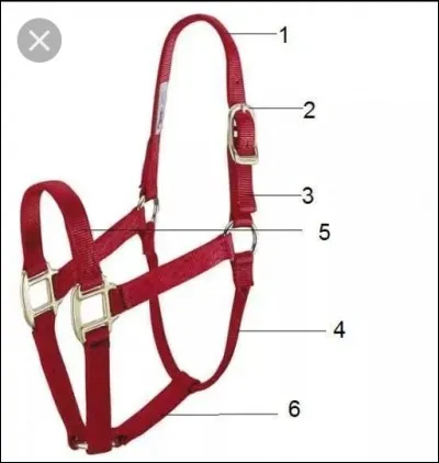 Comment se nomme la partie 6 ?