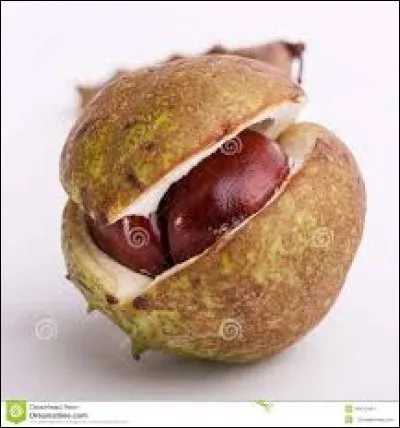 Ne passe souvent pas l'hiver, c'est la...