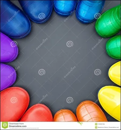 Quelle est votre couleur préférée ?